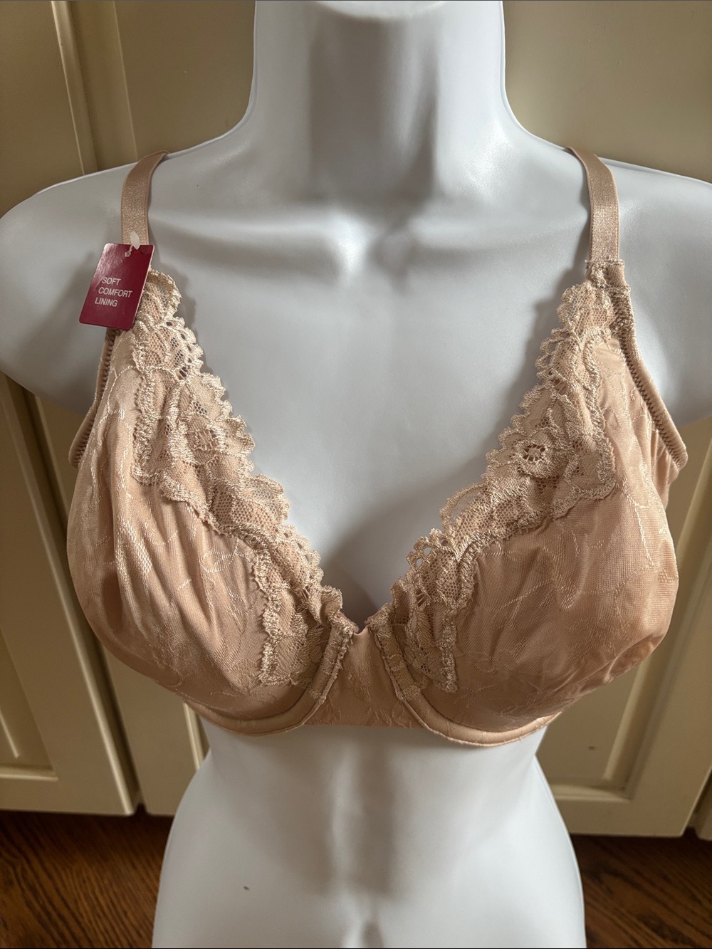 Lace Trim with Soft Comfort Underlining Underwire Bra in Nude